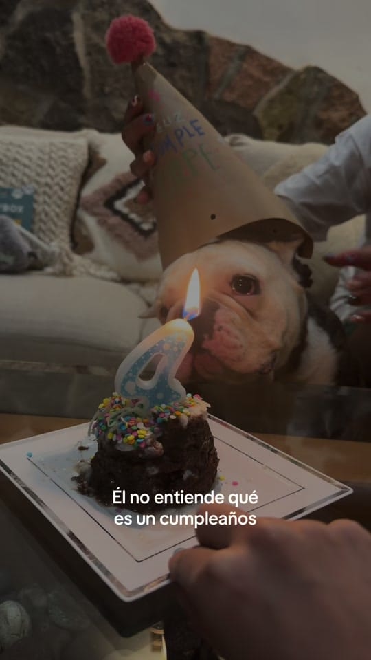Post 9 by Carolina Arnaiz on TikTok (video)