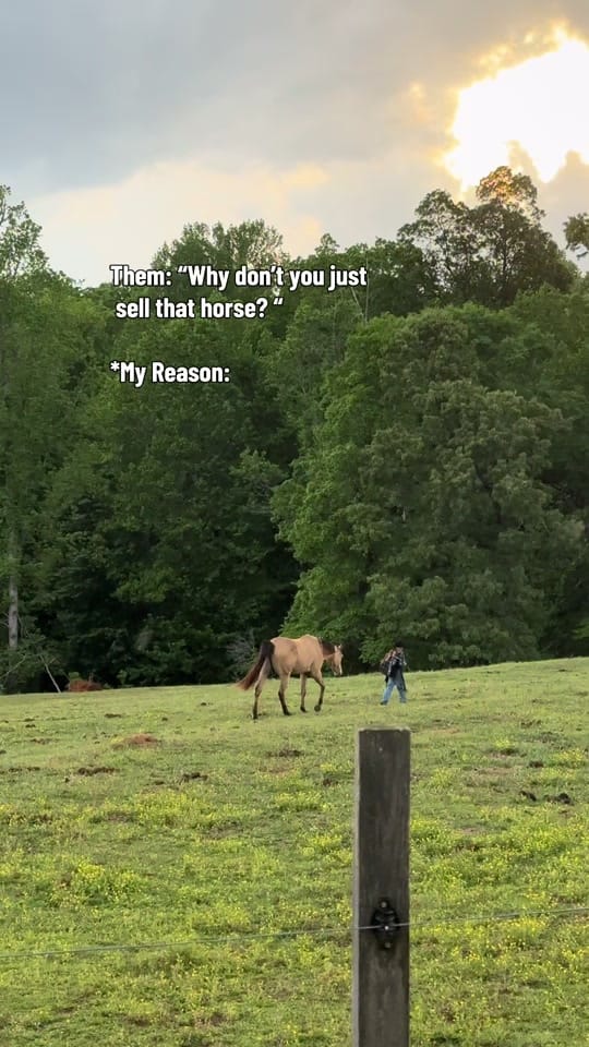 Post 3 by Brittany Twichell on TikTok (video)
