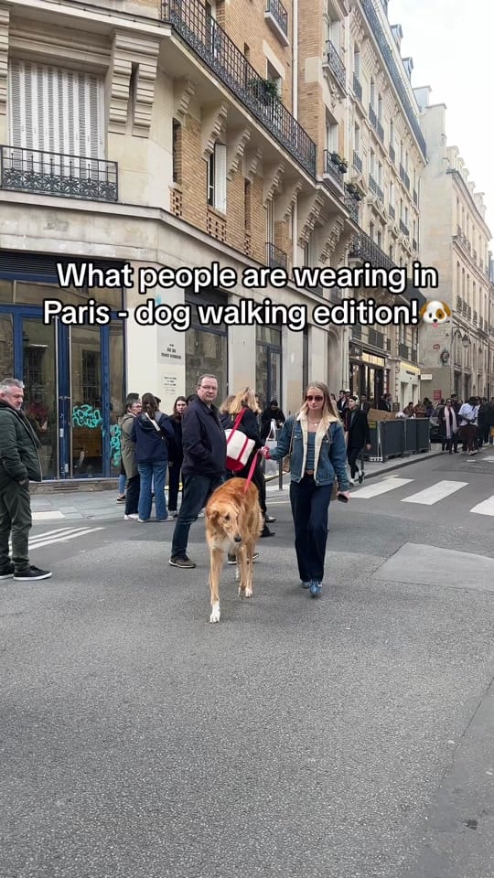 Post 8 by somefacesandplaces on TikTok (video)