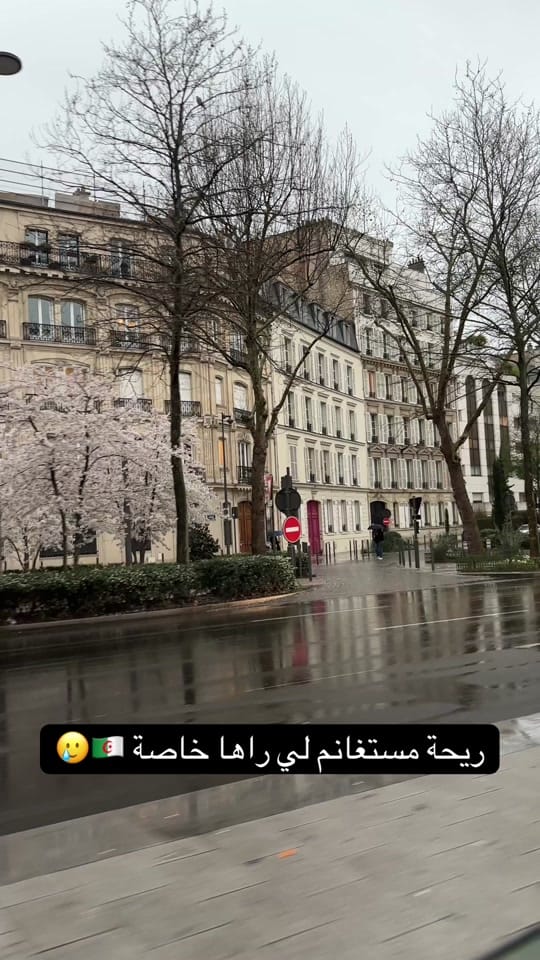 Post 7 by samaa_mnds 🇩🇿🇫🇷 on TikTok (video)