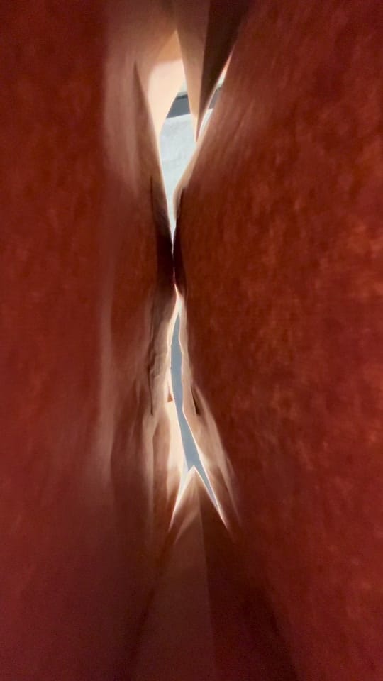 Post 1 by ALMA CLOSET PARIS on TikTok (video)