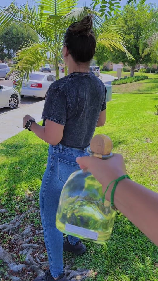Post 9 by Isela Martinez on TikTok (video)