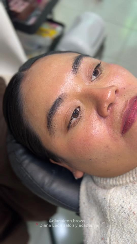 Post 3 by dianaleon.brows on TikTok (video)