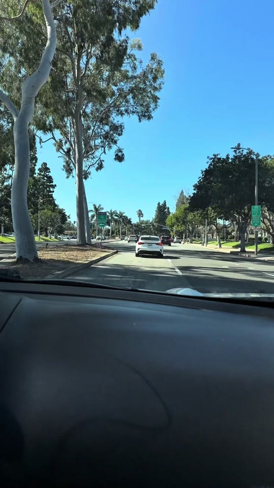 Post 10 by Herrera Selenia 💎 on TikTok (video)