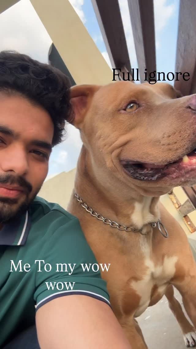 Post 2 by ॐ🇮🇳 on Instagram (video)