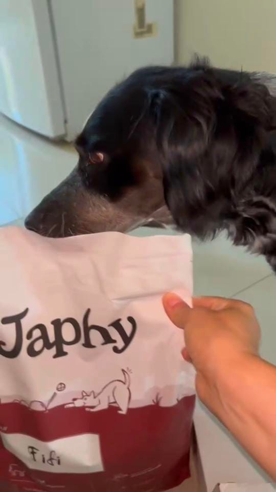 Post 1 by Andréa 🤍 on TikTok (video)