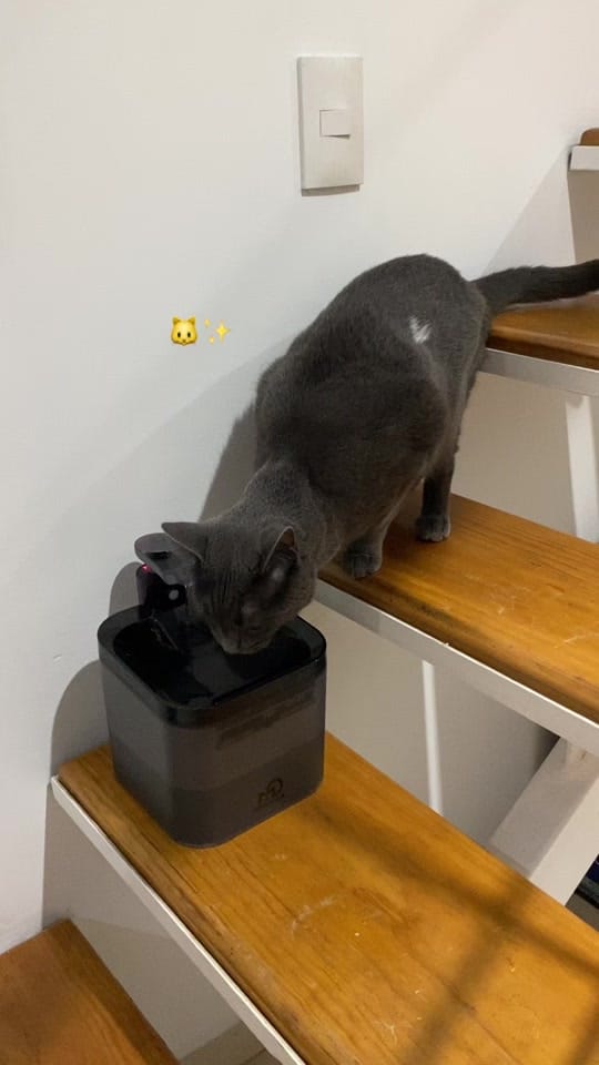 Post 4 by Daretsi Leon on TikTok (video)