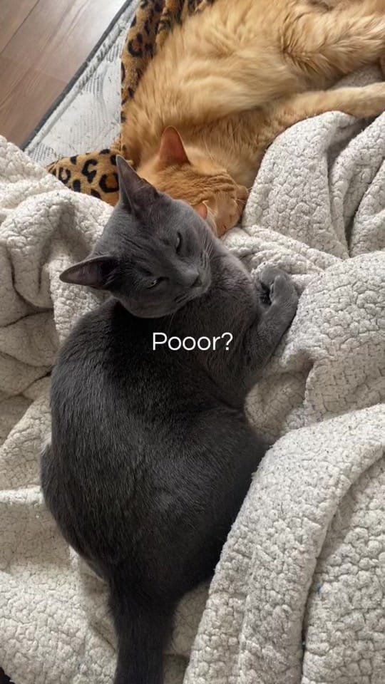 Post 5 by Daretsi Leon on TikTok (video)