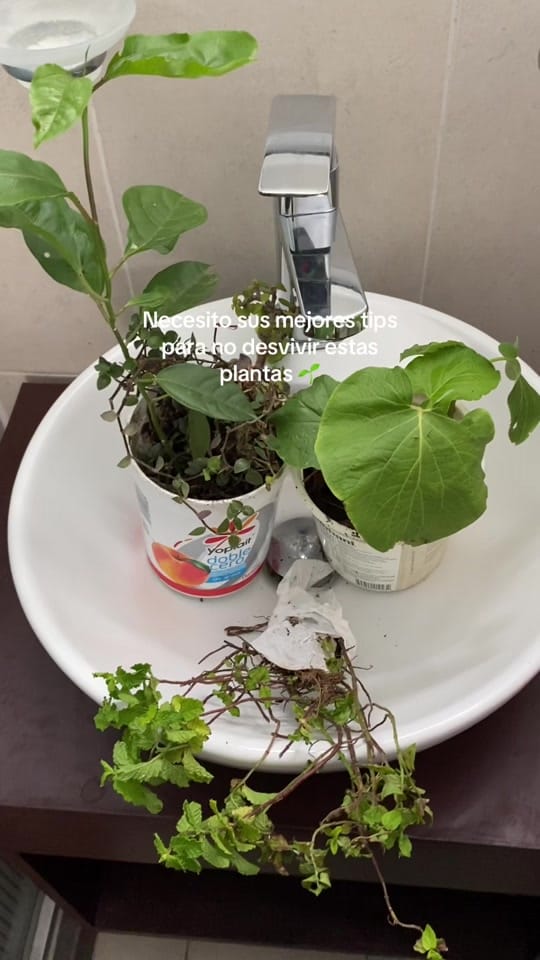 Post 7 by Daretsi Leon on TikTok (video)