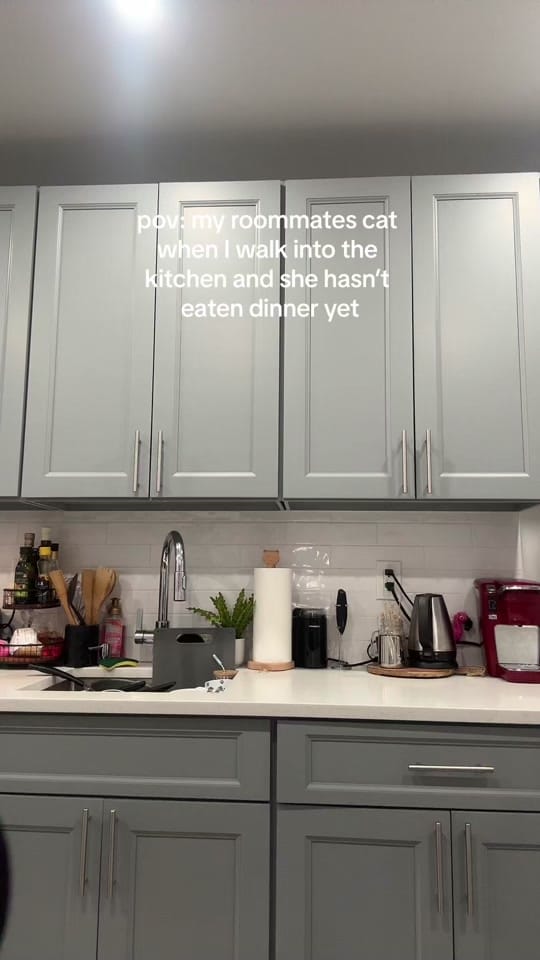 Post 9 by Sara on TikTok (video)