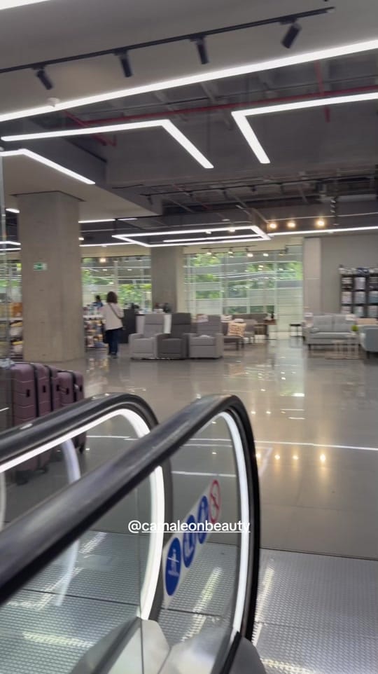 Post 2 by Camaleón on TikTok (video)
