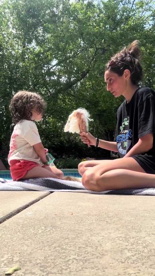 Post 10 by francesca markos on TikTok (video)