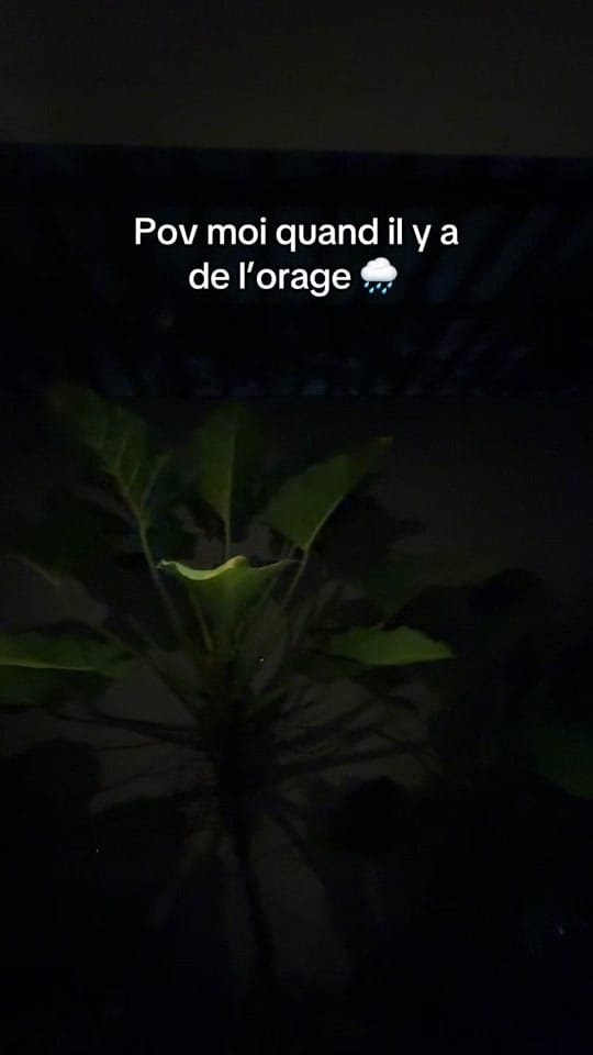 Post 5 by Deeka_core on TikTok (video)