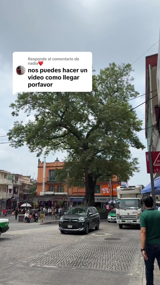 Post 10 by Candy Beauty on TikTok (video)