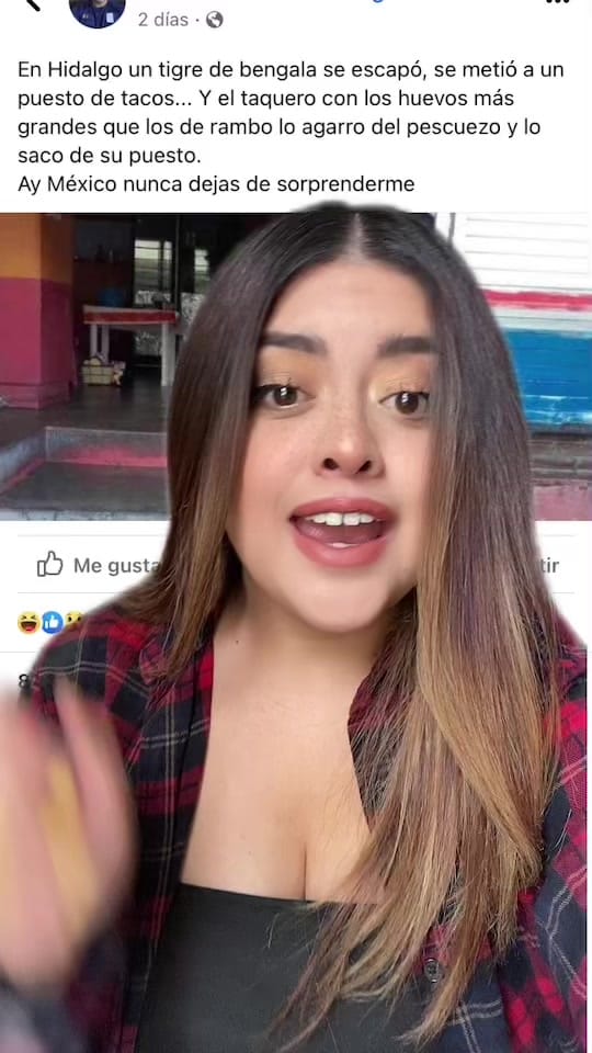 Post 8 by Aly Fernández on TikTok (video)