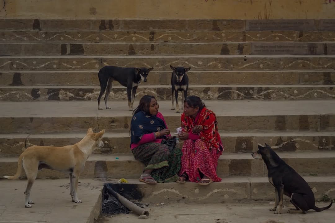 Post 4 by Nishant upadhyay on Instagram (image)