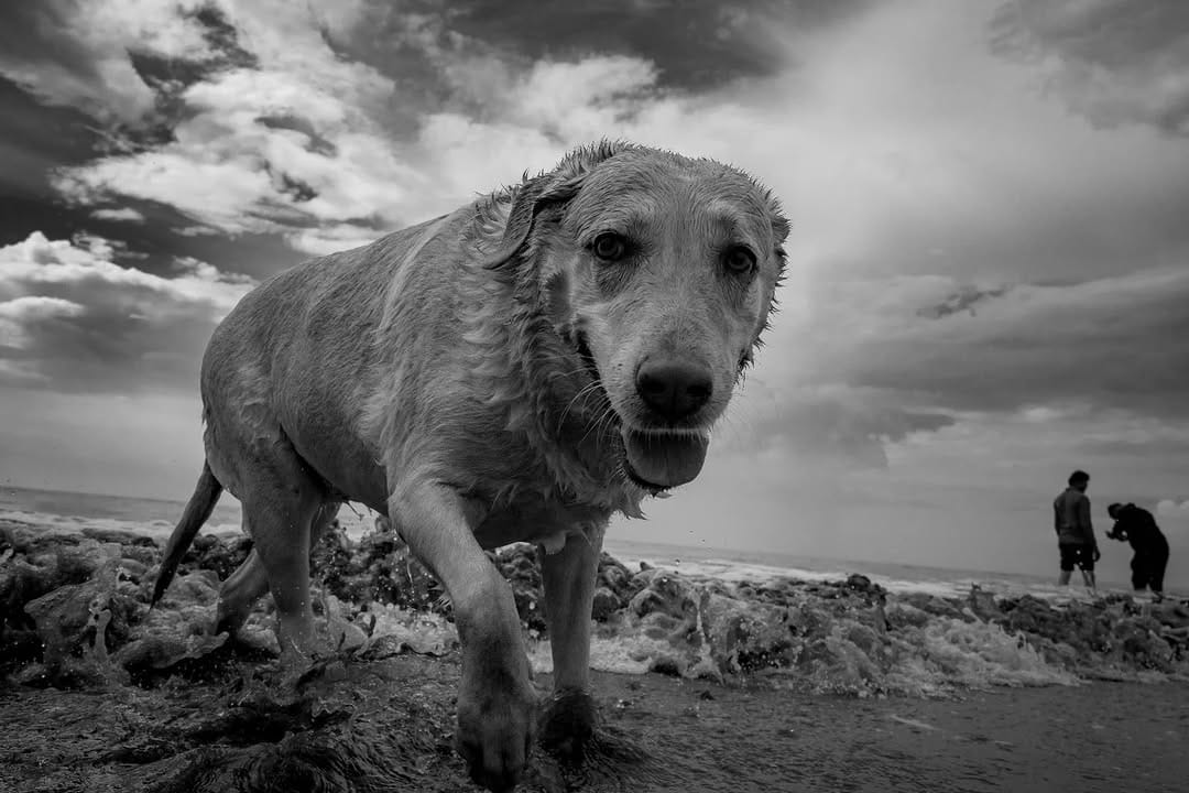Post 1 by Nishant upadhyay on Instagram (image)
