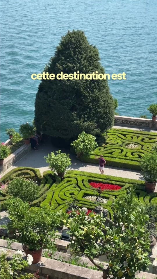 Post 7 by ananas on TikTok (video)
