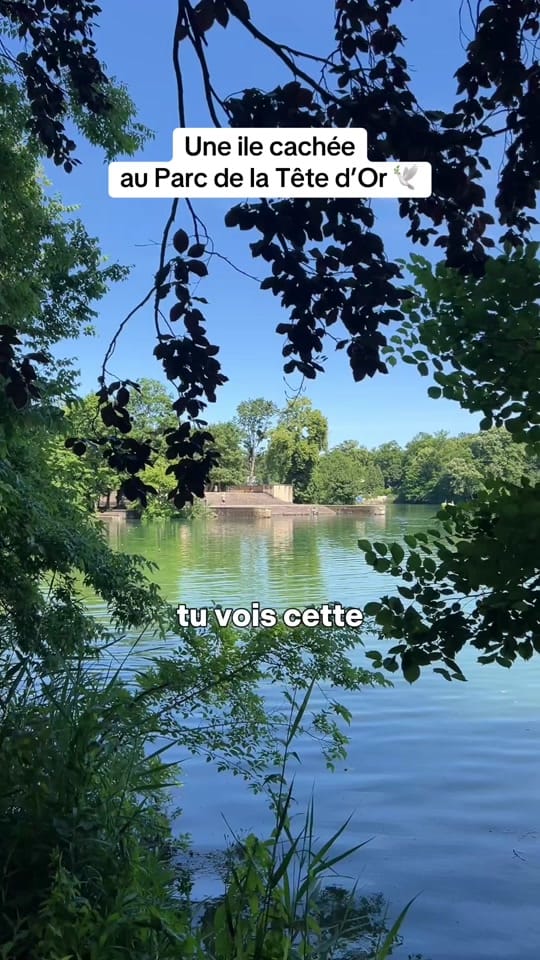 Post 9 by Les Cachotteries de Lyon on TikTok (video)