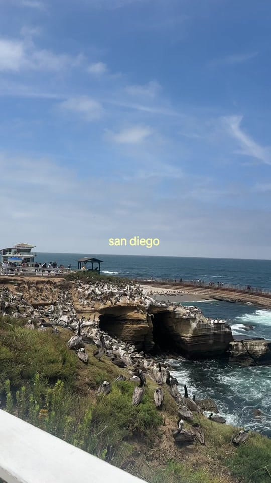 Post 2 by FRANCES GENOVE on TikTok (video)