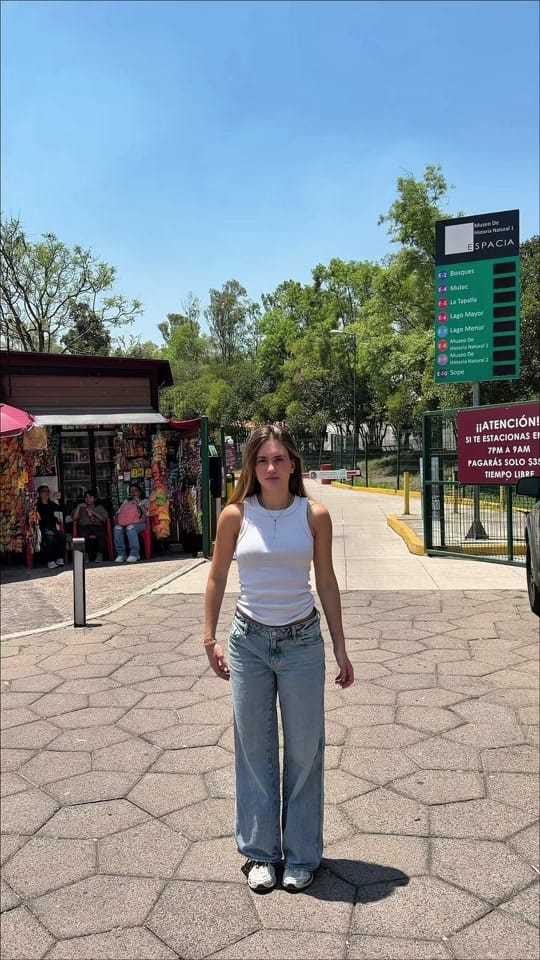 Post 6 by euphoria_mex on TikTok (video)