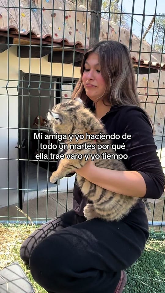 Post 9 by 𝒮𝒶𝓃𝒹𝓇𝒶 on TikTok (video)