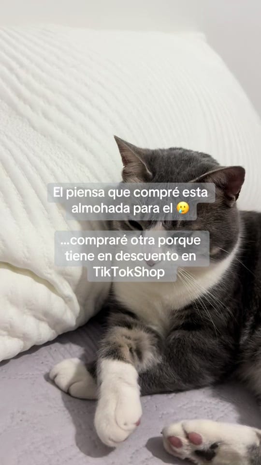 Post 6 by Ali Castelo on TikTok (video)