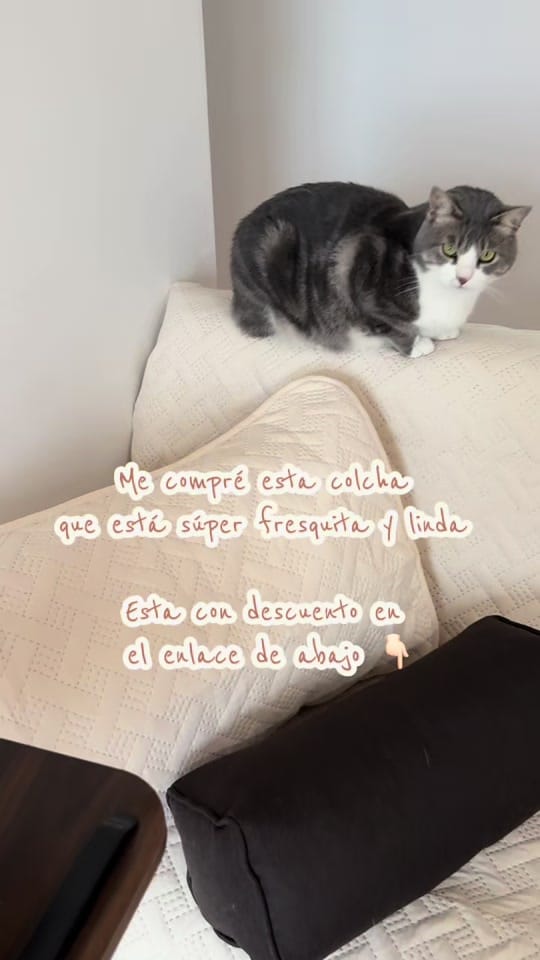 Post 8 by Ali Castelo on TikTok (video)