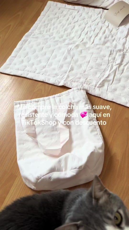Post 10 by Ali Castelo on TikTok (video)