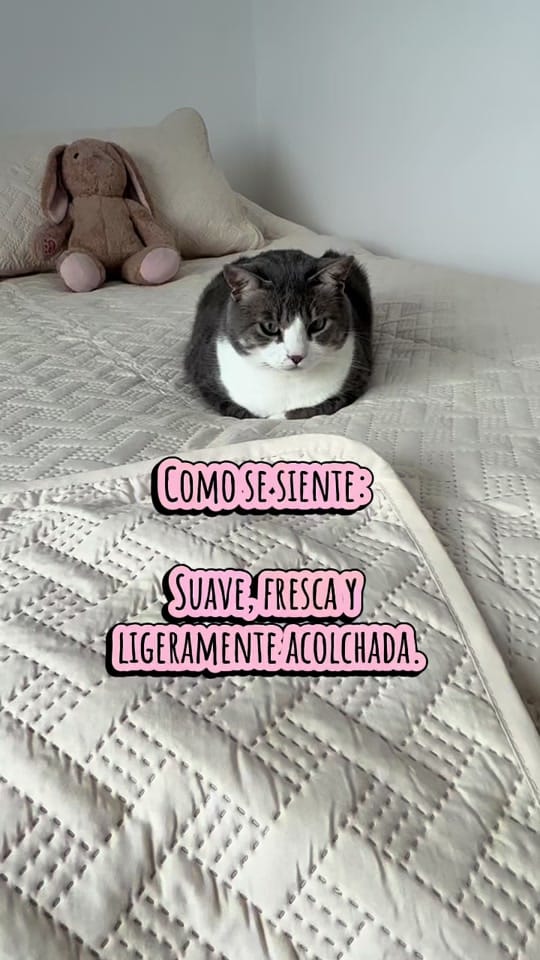 Post 4 by Ali Castelo on TikTok (video)