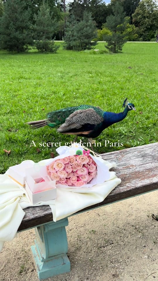 Post 10 by Zoe March on TikTok (video)