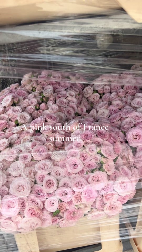 Post 4 by Zoe March on TikTok (video)