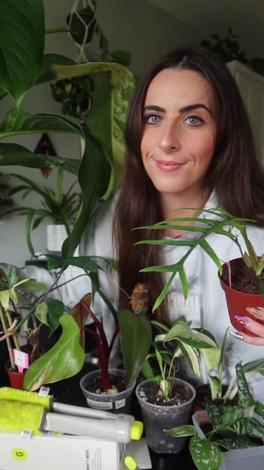 Post 7 by brittany bolt 🪩🪴💕 on TikTok (video)