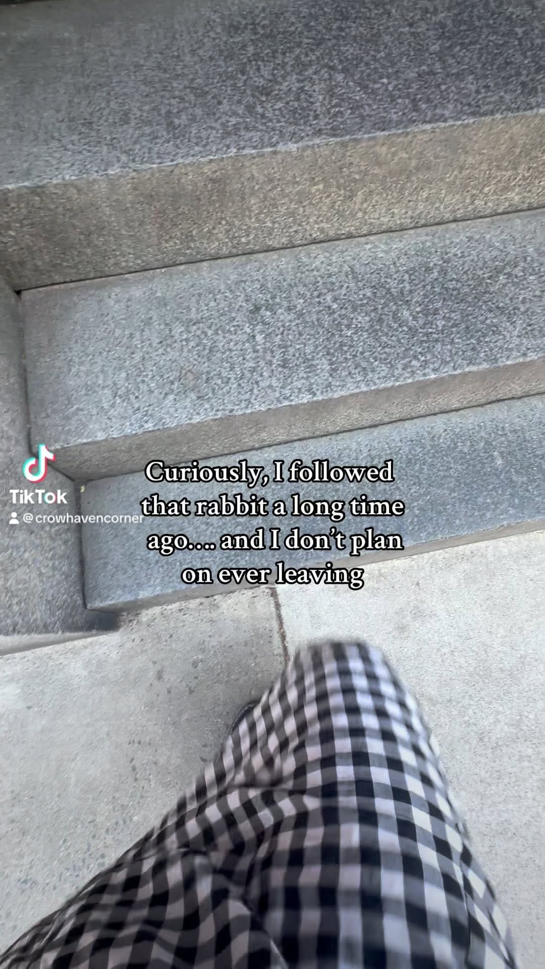 Post 10 by Salem's Oldest Witch Shop on Instagram (video)
