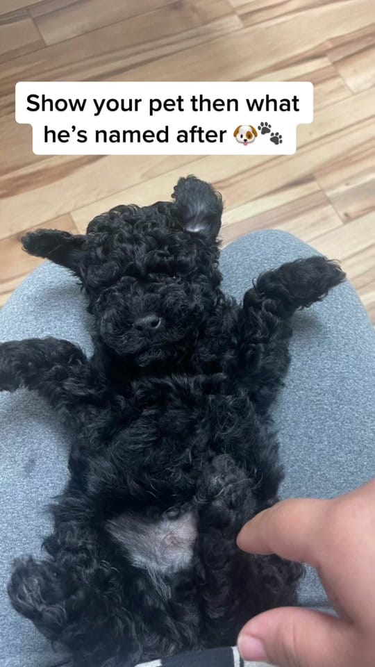 Post 10 by Mildred Guerrero on TikTok (video)