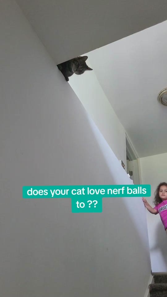 Post 8 by DES🌷 on TikTok (video)