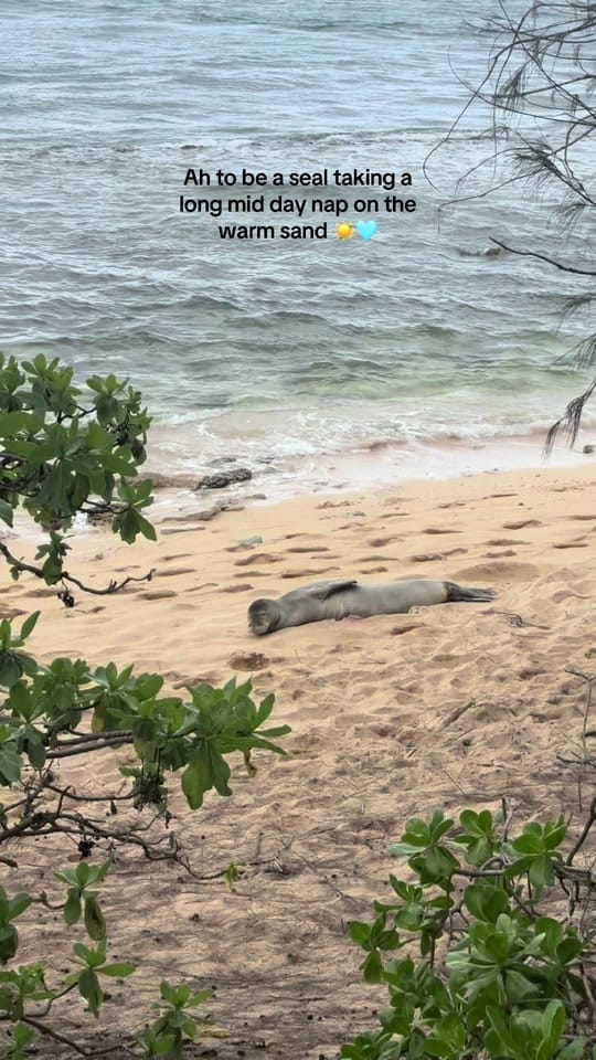 Post 8 by Gwendolyn Carson on TikTok (video)