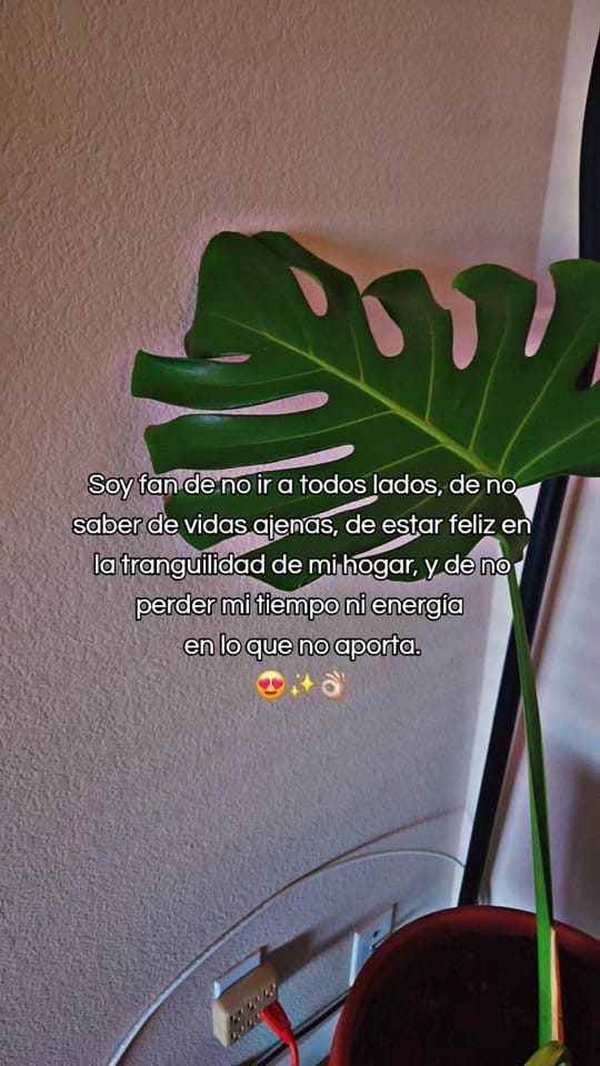 Post 2 by •NenaCDMX• on TikTok (video)