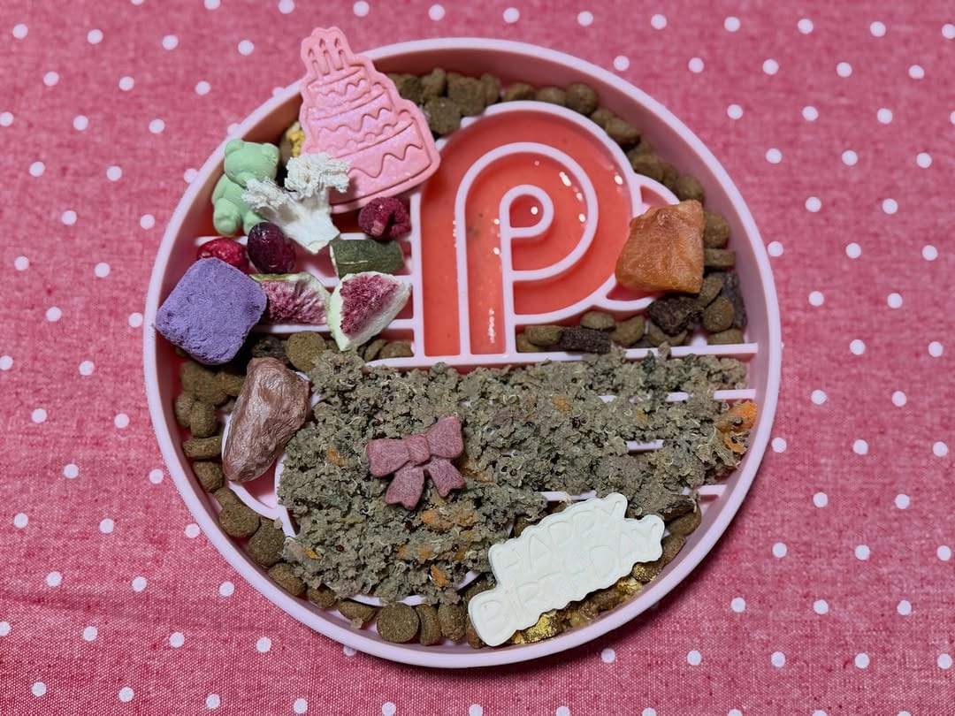 Post 2 by LoopyPaws on Instagram (image)