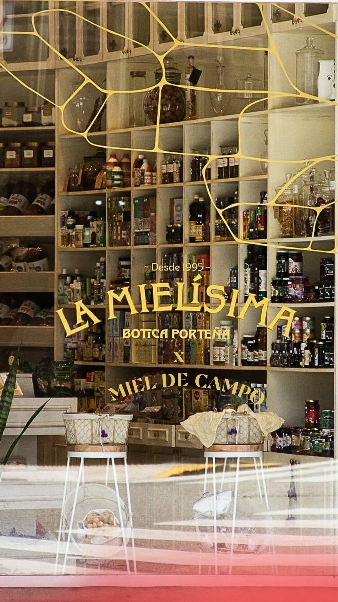 Post 6 by La Mielísima 🍯🇦🇷 on Instagram (video)