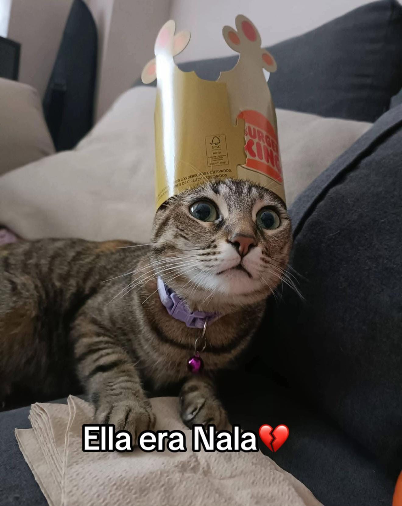 Post 3 by crisveganqueen on TikTok (video)