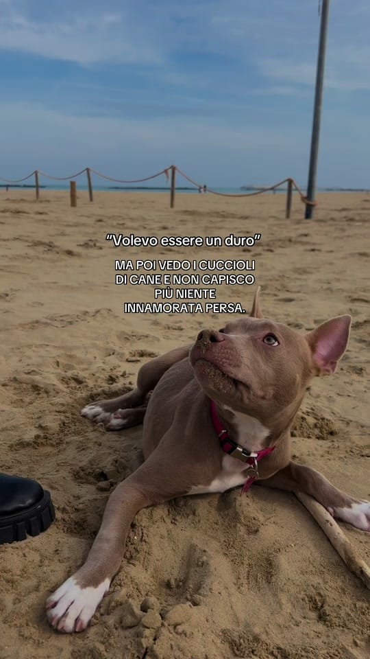Post 3 by 𝐅𝐆 on TikTok (video)