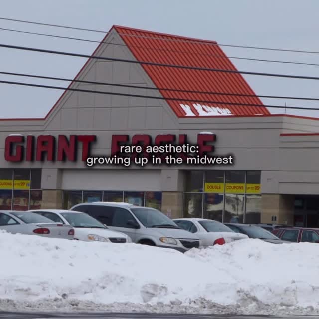 Post 10 by giant eagle on Instagram (video)