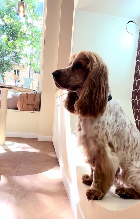 Post 10 by Poshyc on TikTok (video)