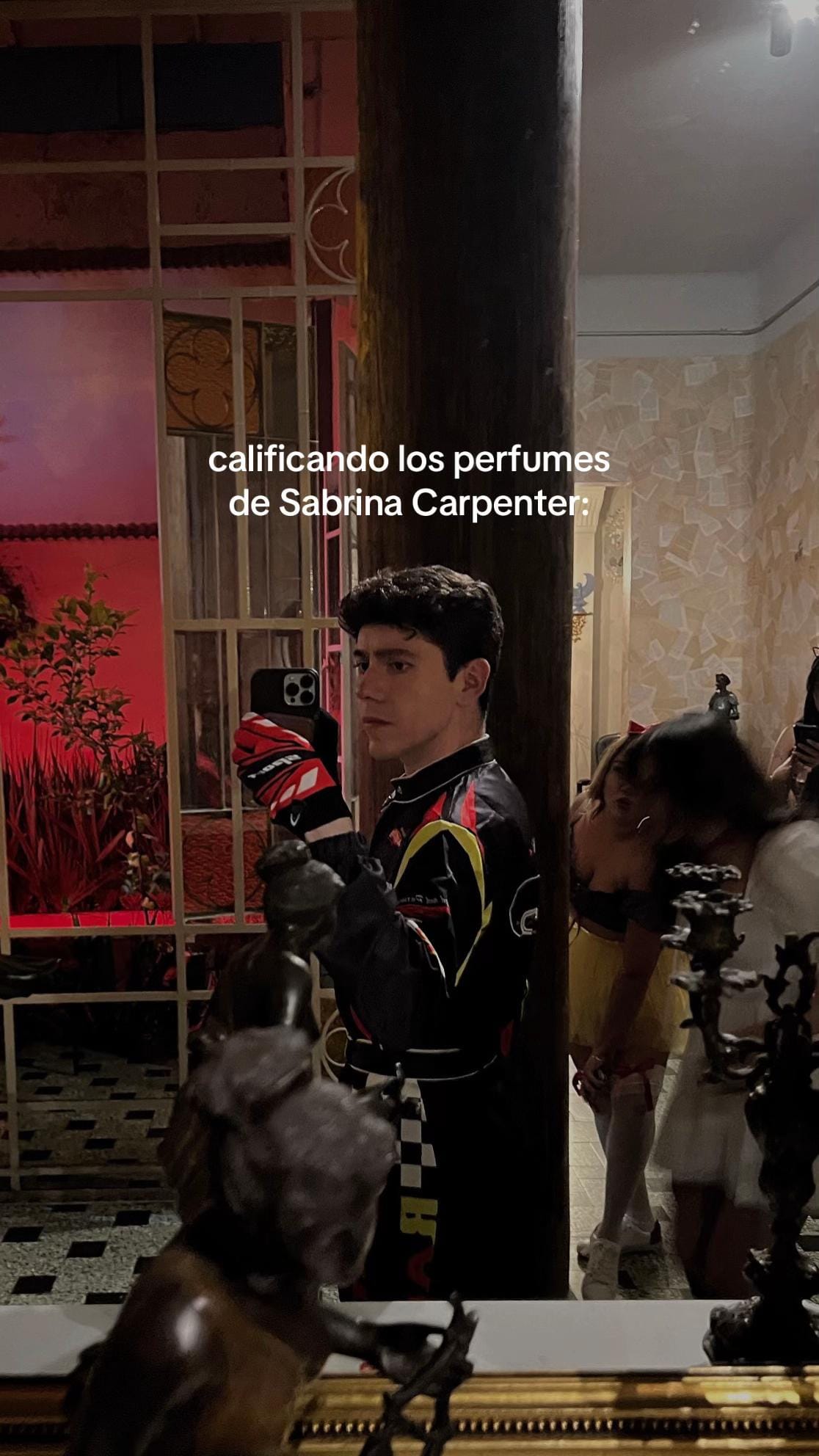 Post 4 by Fran Arvela on TikTok (video)