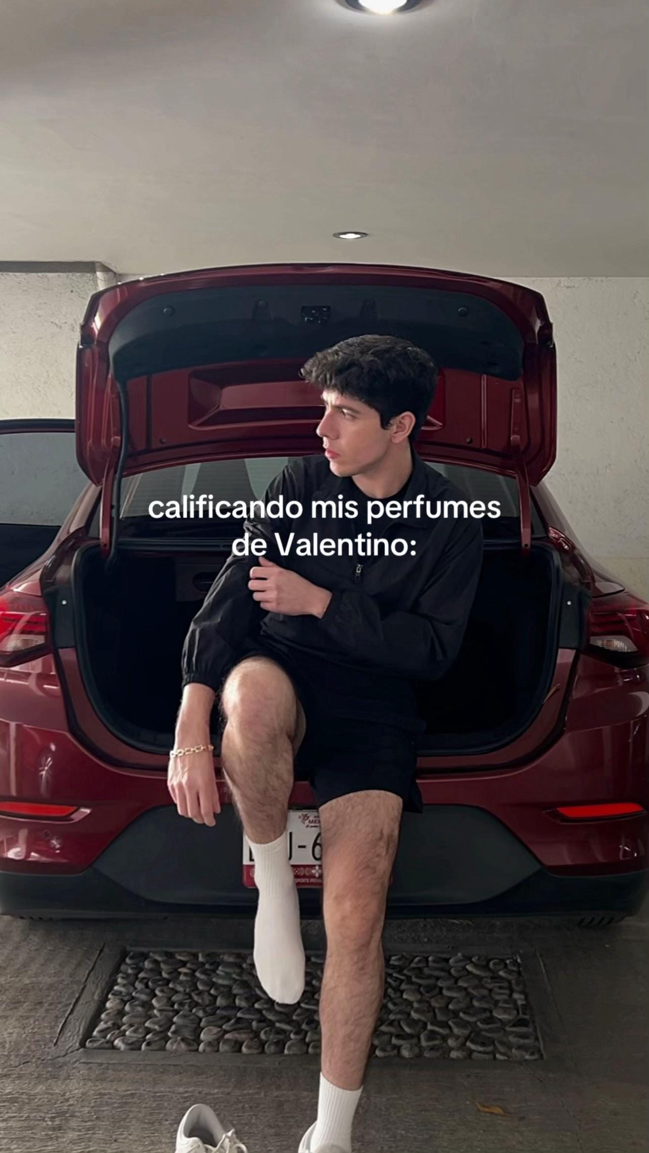 Post 3 by Fran Arvela on TikTok (video)