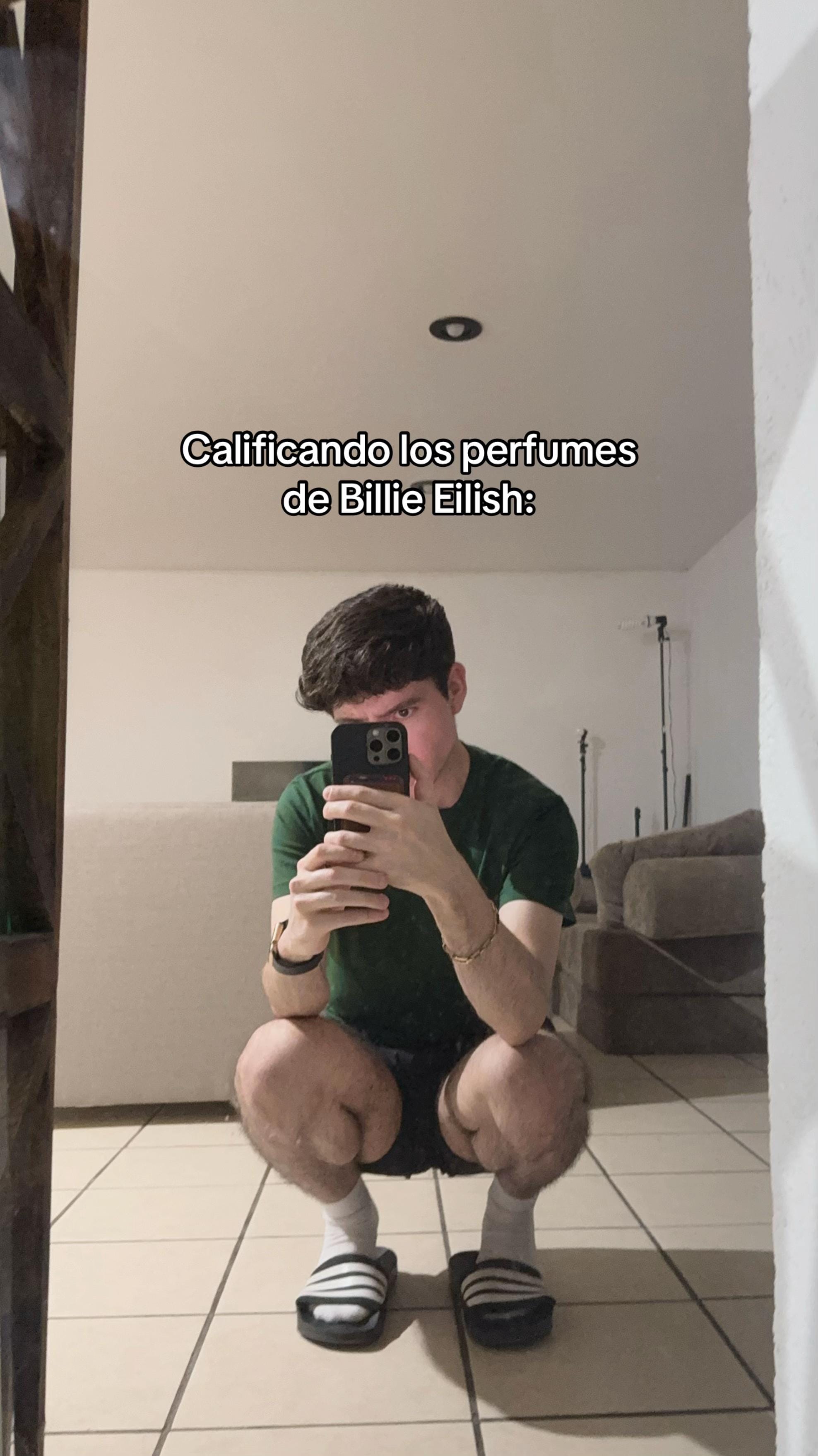 Post 2 by Fran Arvela on TikTok (video)