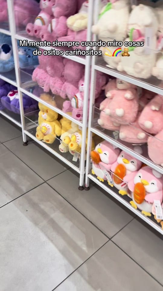Post 9 by clemenfuentes on TikTok (video)