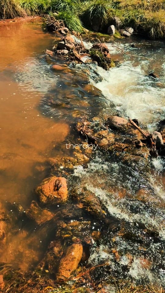 Post 2 by Onlyinnewmexico on TikTok (video)