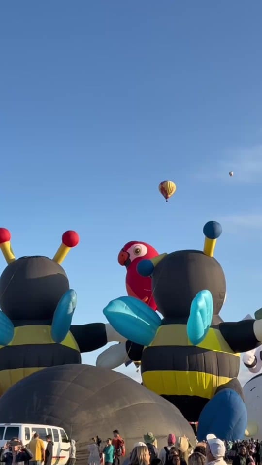 Post 3 by Onlyinnewmexico on TikTok (video)